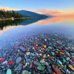 Meet your Posher, Tanya